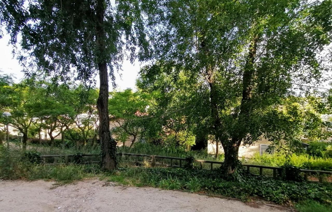 El Jardin De Manresa * Madri